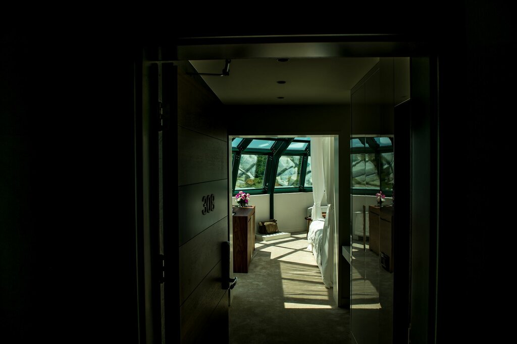 Hotel Hedonic