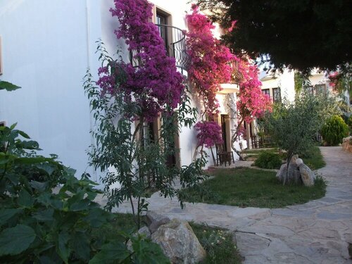 Safir Hotel, Rezerwuj Hotel Hotele w Muğla z parkingiem, Parking