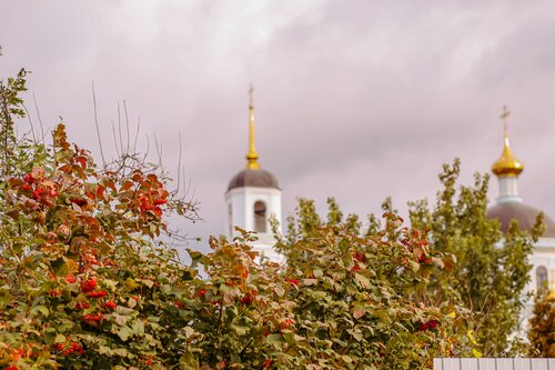 Гостевой дом Домик Лесника Солотча, Забронировать Гостевой дом Отели Рязанской области с парковкой, Парковка