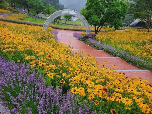 Nine Valley Park, Reserva ahora Hotel Boeun-gun Chungcheongbuk-Do