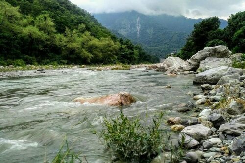 Howard Sanctuary Rishikesh, Забронировать Отель СПА-отели штата Уттаракханд, SPA-услуги