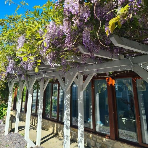 Northover Manor Hotel, Boek Hotel Hotels in Merseyside met ontbijt, Ontbijt