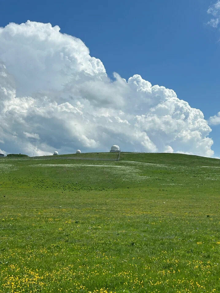 Медовые Холмы