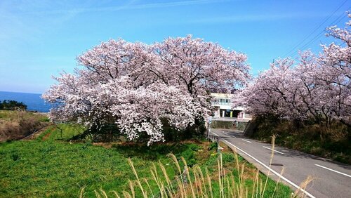 Takasusou, Réserver Hôtel Hôtels à Fukui avec parking, Parking