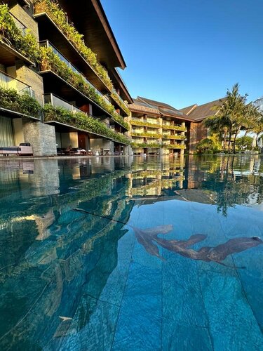 COMO Uma Canggu, Book Hotel Hotels in Badung with a Pool, Swimming Pool