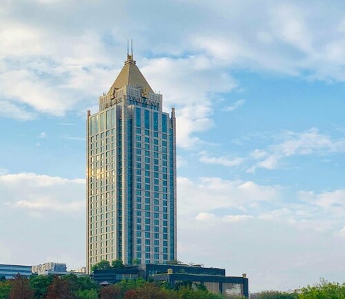 Shenzhen LANGYUE International Hotel, Забронировать Отель Бизнес-отели Shenzhen Area, 4* 5*