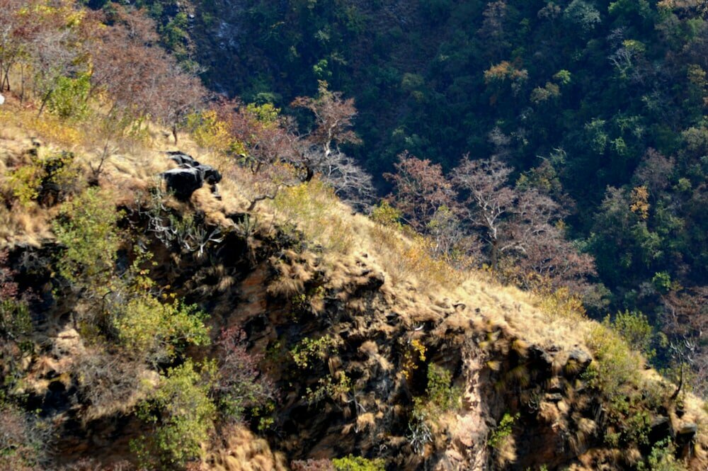 Auranya The Mystical Himalayan Retreat