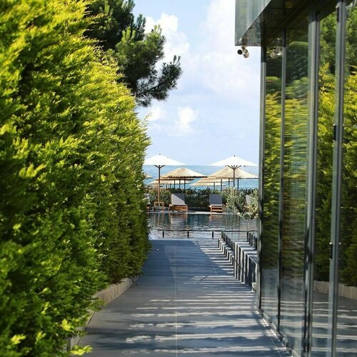 Pikola Otel, Book Hotel Akçatepe Black Sea Region Turkey