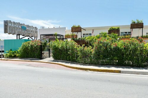 Mayan Monkey Cancun | Social Hotel, Boek Hotel Cancun Quintana Roo