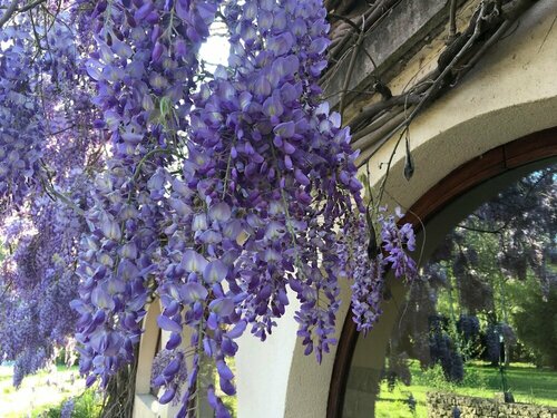 Villa Franciana, Prenota Villa Cottage a Aquitania, Cottage