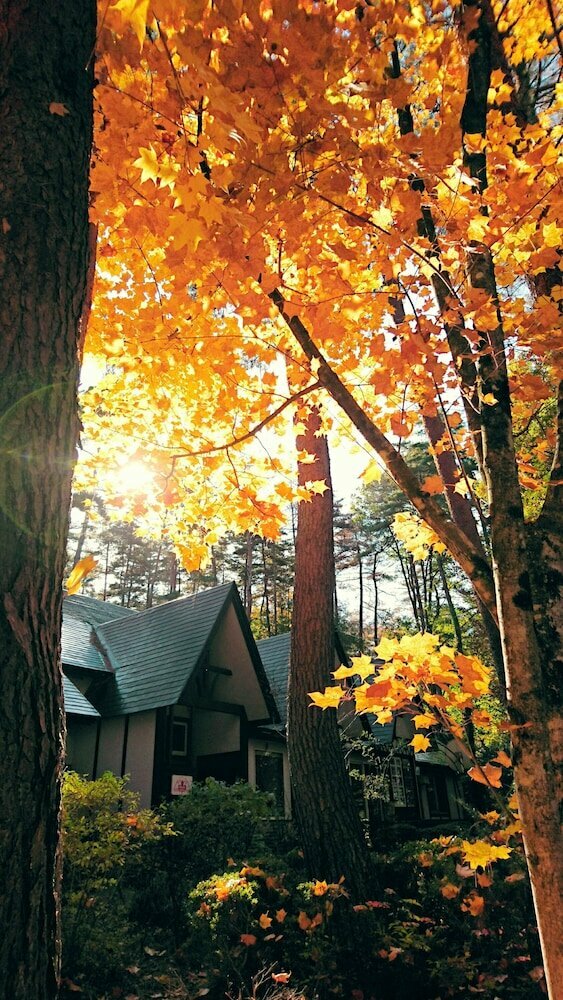 Pension Maple Leaf