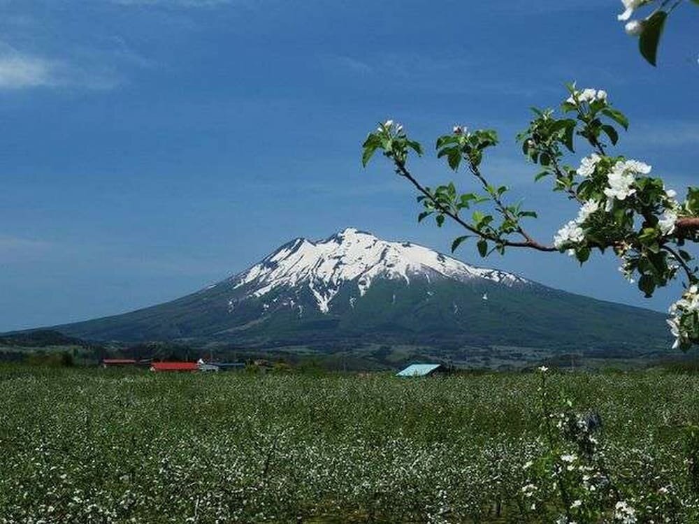 Art Hotel Hirosaki City