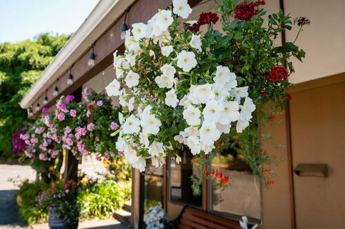 Columbia Gorge Inn, Забронировать Мини-отель  