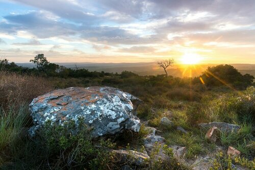 Shamwari Eagles Crag, Prenota Hotel Paterson Eastern Cape