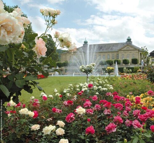 Villa Thea Hotel am Rosengarten, Reserva ahora Villa Bad Kissingen Rhön