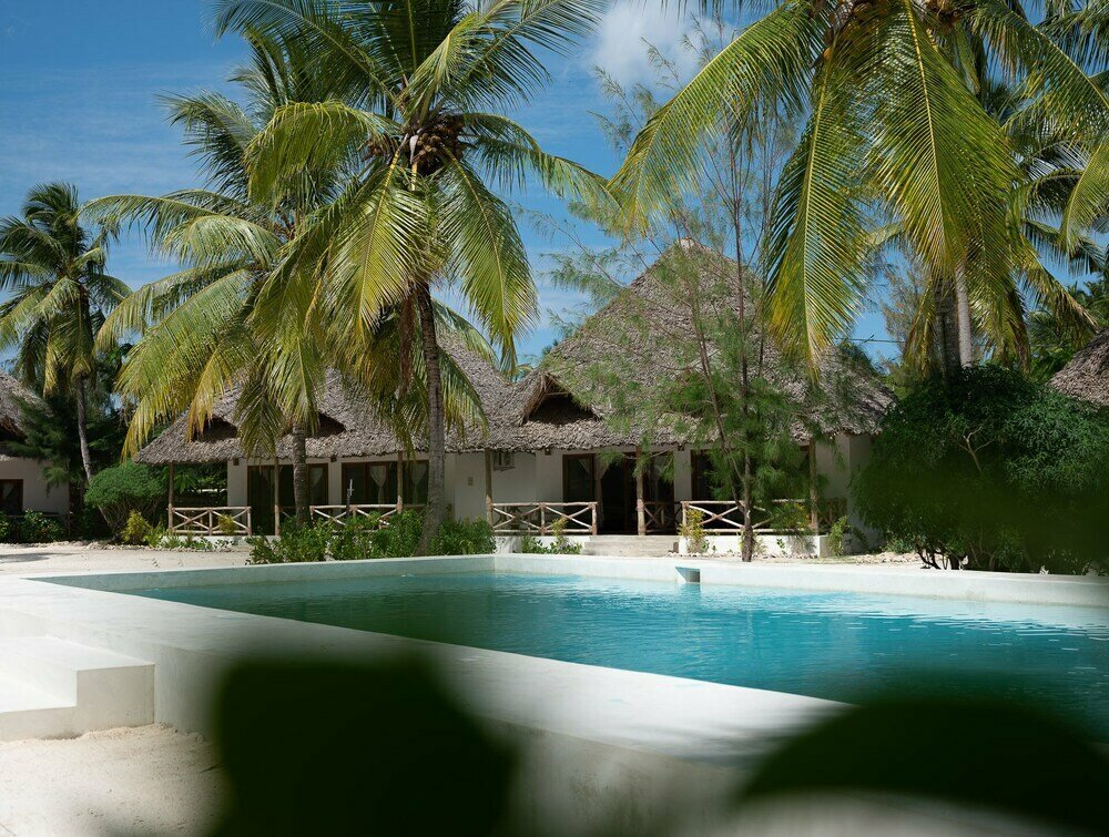 Joy Of Zanzibar