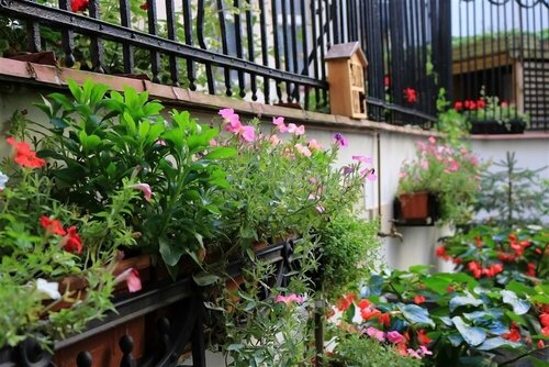 Chopin Boutique, Забронировать Бутик-отель Отели Варшавы с завтраком, рядом с Улица Новый Свят, Завтраки