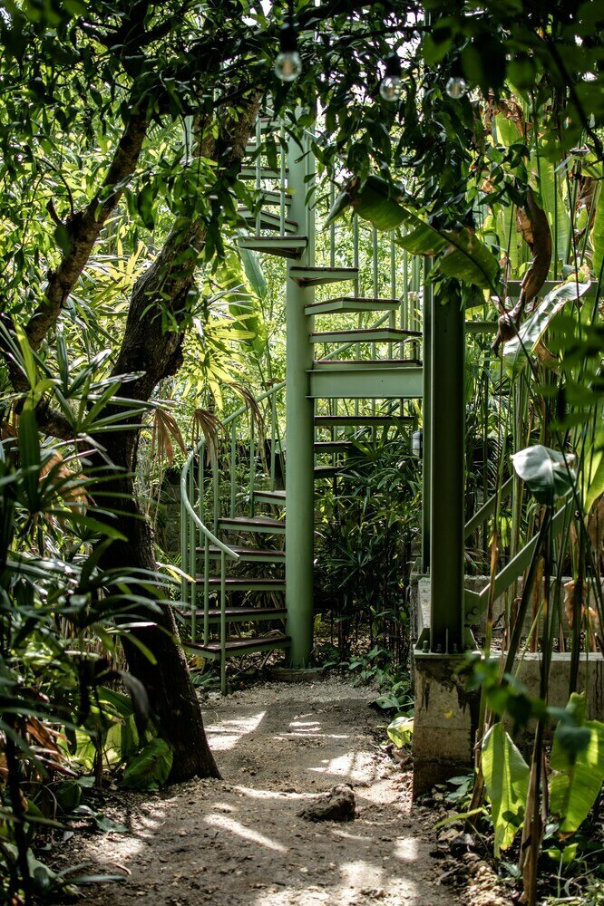 The Canopy