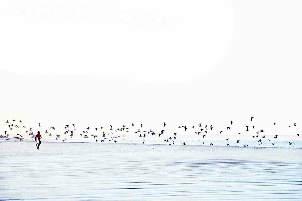 Ocean Vagabond Dakhla