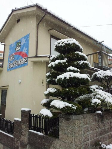 Matsumoto BackPackers, Reserva ahora Albergue Matsumoto Nagano