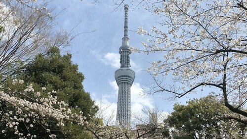 La Krasse Sumida, Забронировать Апартаменты/квартира Апартаменты Токио, рядом с Asakusa Culture Tourist Information Center, Апартаменты/квартира