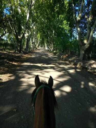 Casona Rural De Maipu, Забронировать Отель Бахо Лунлунта Wine Route Mendoza