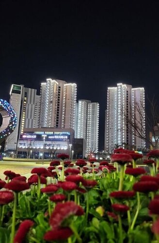 Daylight Lagomar Pension, Забронировать Апартаменты/квартира Апартаменты Пусана, Апартаменты/квартира