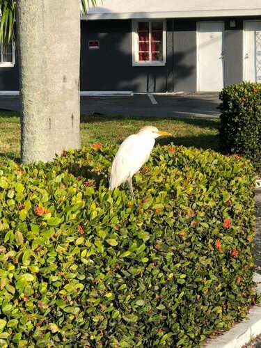 Bay Breeze Inn Bradenton Downtown, Забронировать Отель Брейдентон Sarasota Area
