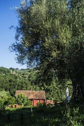 Agriturismo Murikè, Забронировать Дом для отпуска Санта-Марина Чиленто