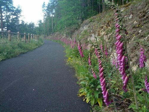 Les Platanes, Забронировать Отель Montfaucon 