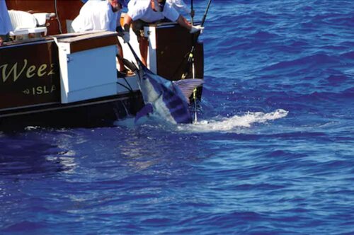 Coco Reef Bermuda, Reserva ahora Hotel Paget Pembroke