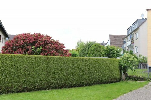 Luxus Wohnungen nähe Köln City/Messe, Забронировать Апартаменты/квартира Отели Bergisches Land с парковкой, Парковка