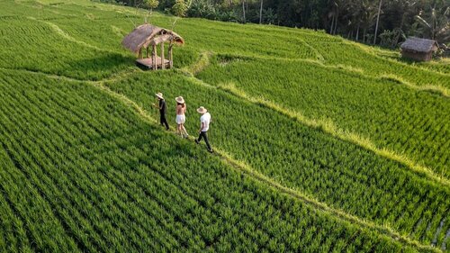 Ubud Nyuh Bali Resort & Spa, Réserver Complexe hôtelier Lodtunduh Bali