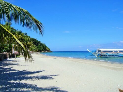 Amami Beach Resort, Đặt Khu nghỉ dưỡng Khách sạn Giá rẻ tại Mindoro