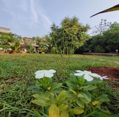 Surve Natures Resort - Chiplun, Réserver Hôtel Hôtels à Maharashtra avec piscine, Piscine
