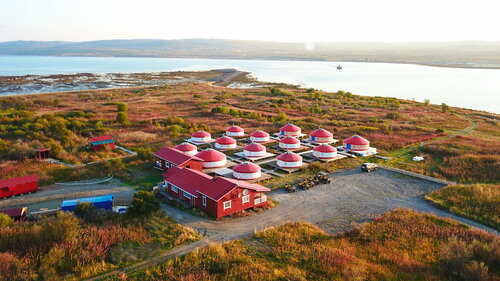 Arctic Tours & Views Лисица, Забронировать Кемпинг Печенгский муниципальный округ Мурманская область