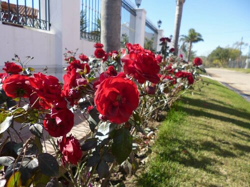 Garden House Hotel, Забронировать Отель Рио-Куарто Провинсия де Кордоба