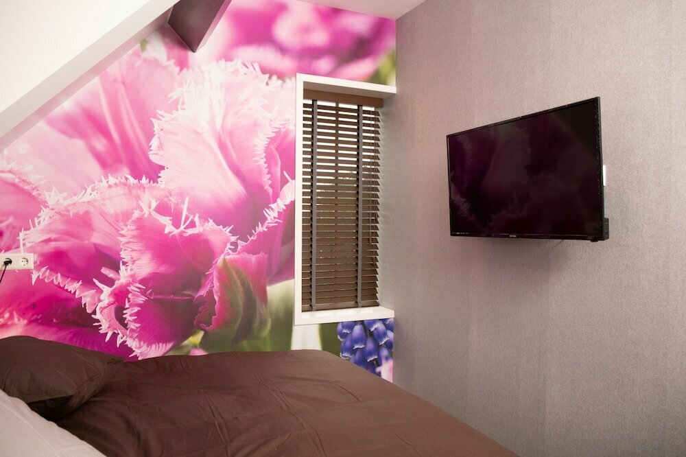 House of Tulips