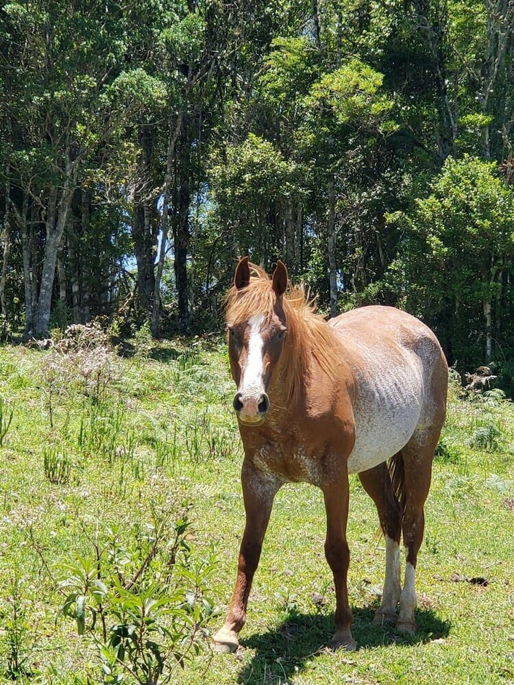 Rancho Sol Poente - Rancho Queimado