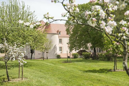 Chateau du Bost, Book Hotel Hoteller i Burgund med pool, Swimmingpool