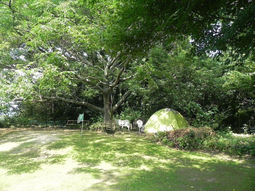 Alpha Eight - Hostel