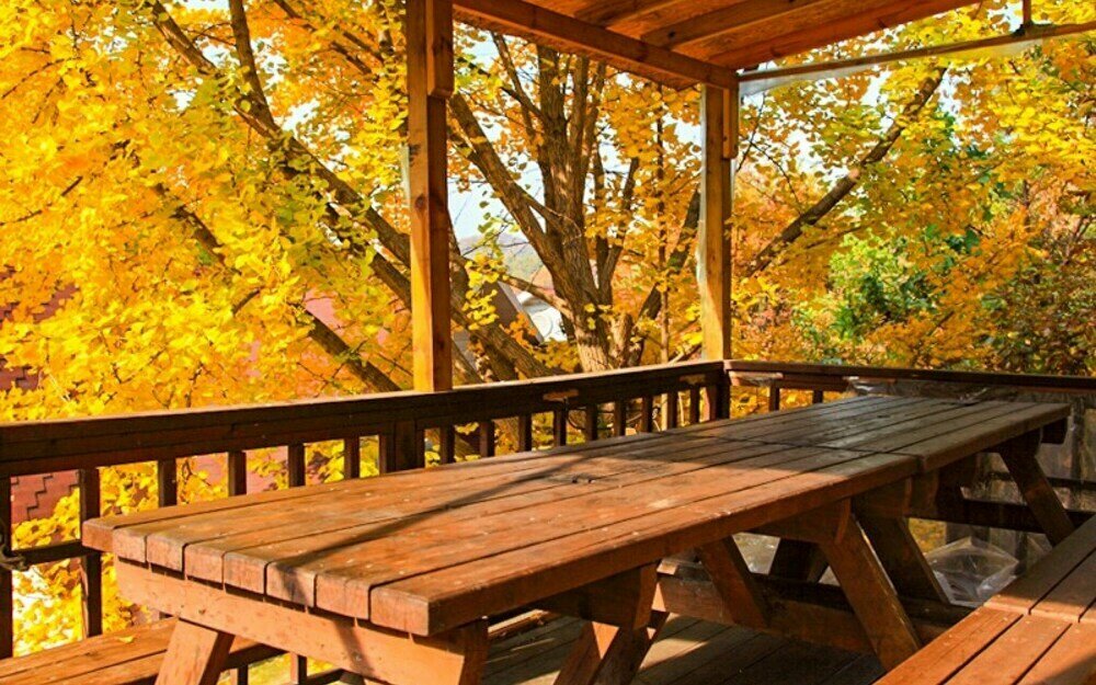 Yong Maple Pension