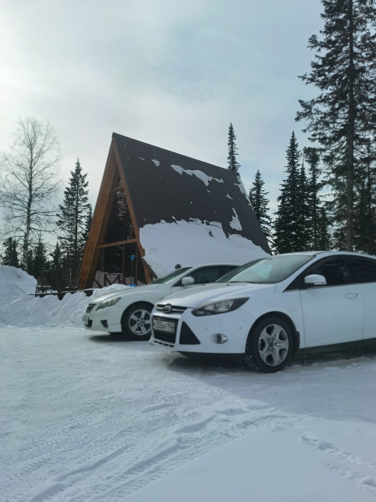 Vektor