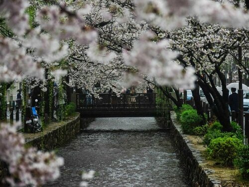 Kyoto Machiyado Shijo Karasuma, Брондау Қонақ үй Shimogyo Ward , Old Rissei Elementary School маңындағы
