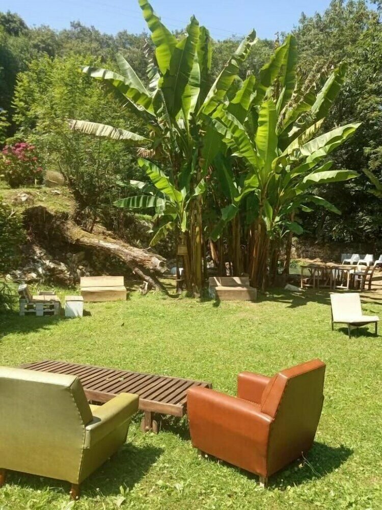 Bosque de Cuevas