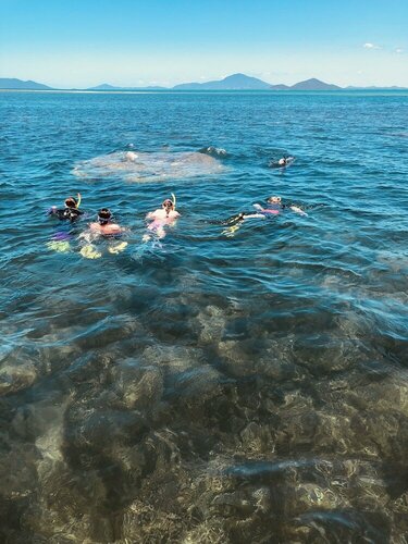Camp Island Lodge, Book Feriehus Abbot Point Queensland