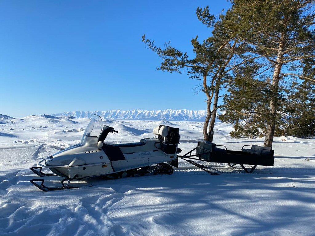 Байкальский медведь
