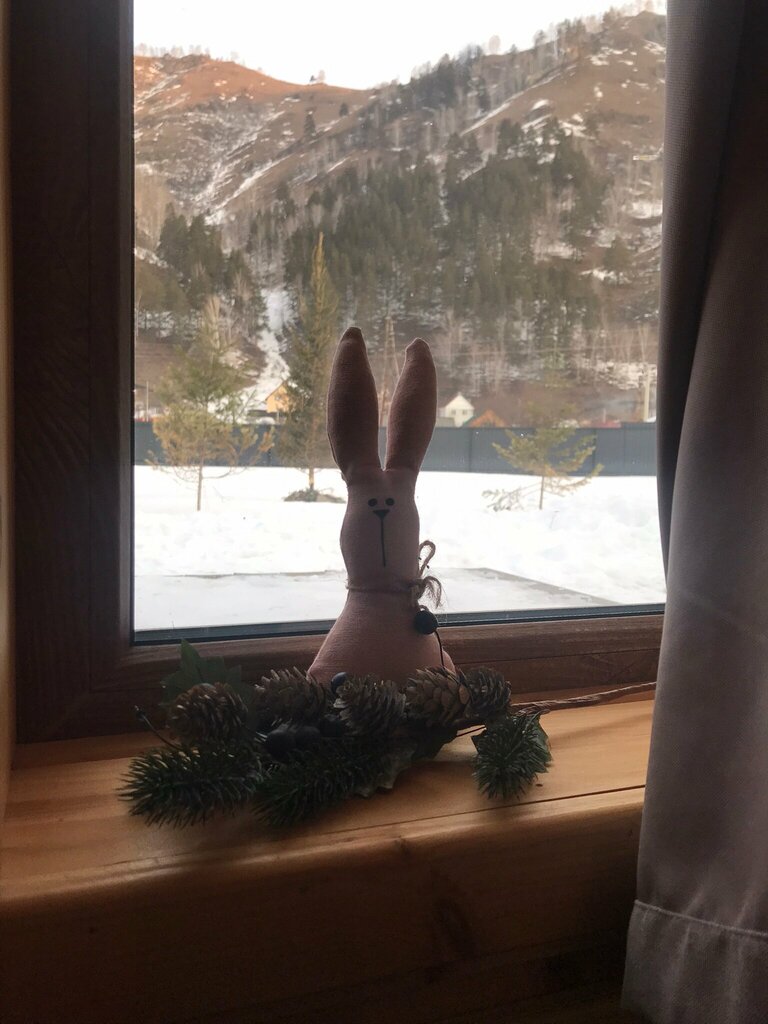 Вельвет