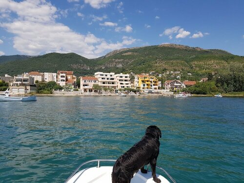 Apartments Tivat, Забронировать Апартаменты/квартира Апартаменты Тиват, Апартаменты/квартира