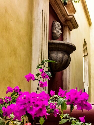 Central Bougainvillea, Забронировать Отель «постель и завтрак» Отели Антигуа-Гватемалы 3 звезды, 3*
